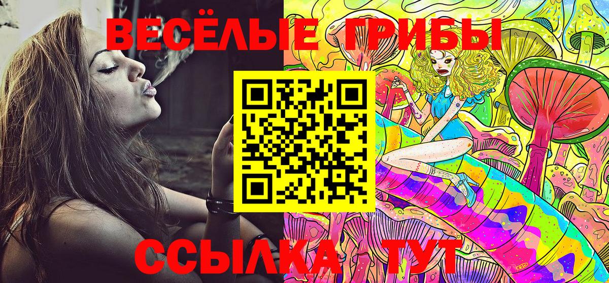 Галлюциногенные грибы Cubensis Пушкино