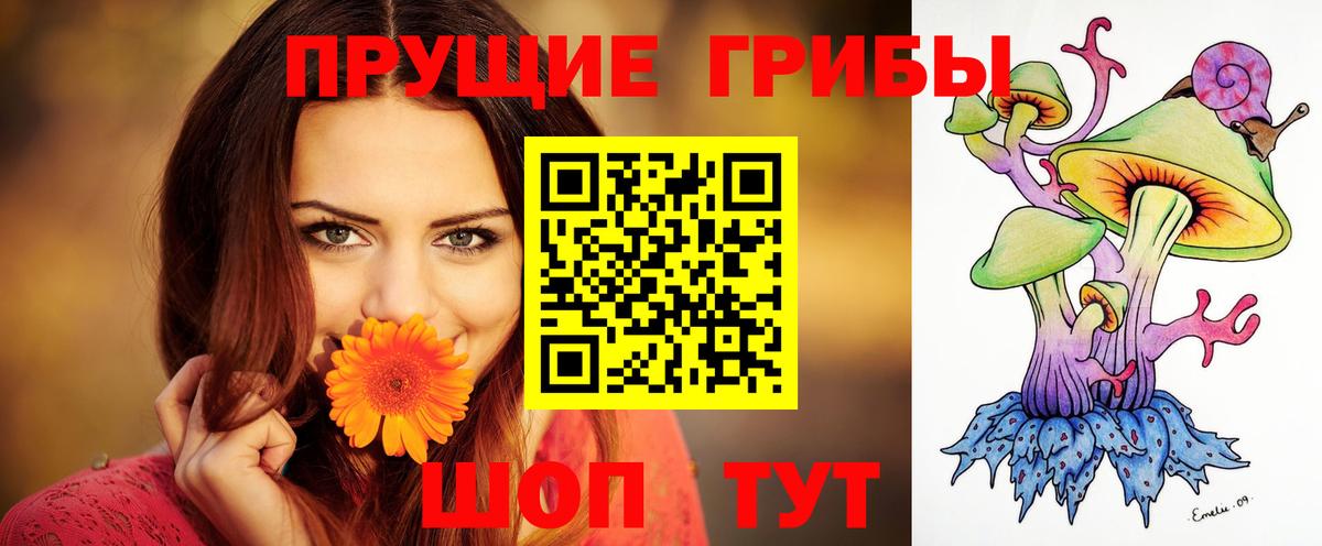 Псилоцибиновые грибы GOLDEN TEACHER  Вход с VPN  Пушкино 